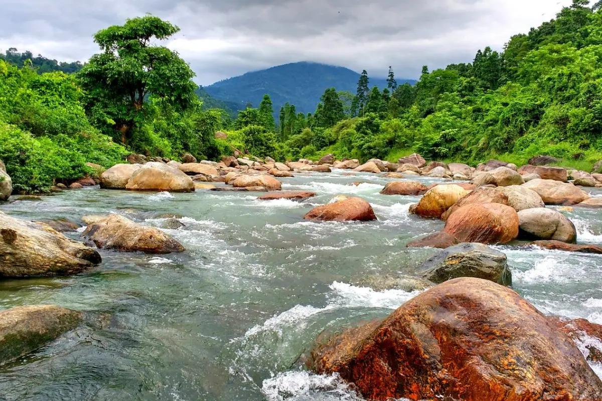 Why Visit Dooars During the Durga Puja Vacation?